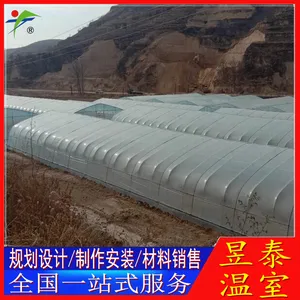 昱泰温室 单体拱棚插地棚春秋棚冷棚 蔬菜大棚 YTWSLP10066