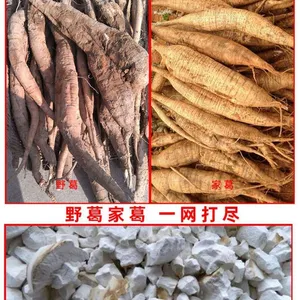 不锈钢土豆打粉机地瓜淀粉机葛根粉碎机玉米淀粉机干湿分离设备
