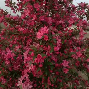 6-7-8���ֱ������� �е������� �ڷ����� ԰�ֹ����̻���������׳