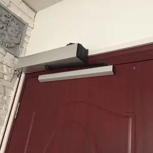 С�����������ſ�ϵͳ ����ʶ��¥��Խ� �綯���쵥Ԫ��
