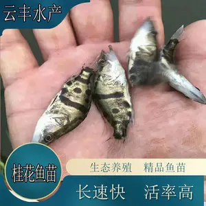 ��***��ˮ�������� ��������籨�� �Ʒ���������緱ֳ