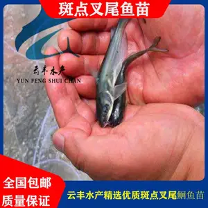 ����ˮ��***��β�t���� �γǹ�Ӧ����***��β���� ��β���������