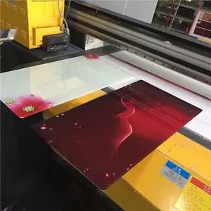����LR-UV2030������ӡ���ṩϴ�»��ǰ岣��3Dͼ���������ӡ���������