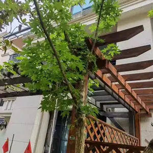 ���ݹ��������ķ�ľ�����Ͻ����Ѽ�����