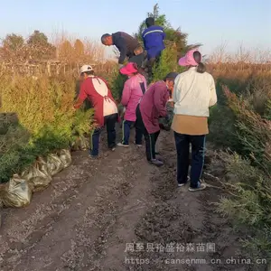 �ٷ������� ��ڷ������� ����ũ����ֲ����