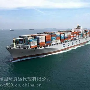 南非海运拼箱双清到门南非专线物流南非海运订舱