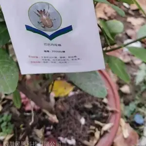 捕食螨红蜘蛛、叶螨、苹果螨等,四川、重庆、贵州、广西、湖南、湖北、江西、云南等生产厂家。