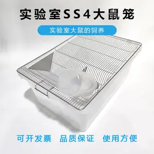 SS4������ʵ��������������������