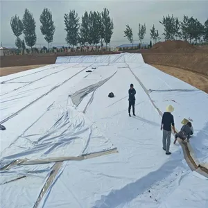 蓄水池900克复合土工膜