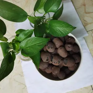 轻质陶粒多少钱一包 南昌***格