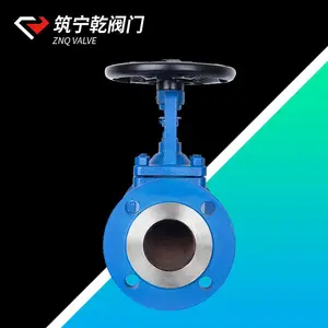 ����Ǭ ���ƹܽ�ֹ�� WJ41H-16C ̼�ַ�����ֹ��dn65 ����
