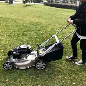 ʯ��ׯ������ʽ�����ƺ������20��18��