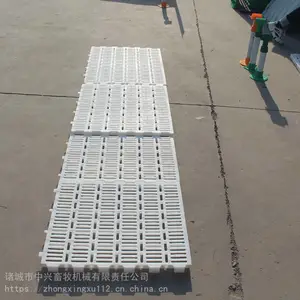 ������������©��� ����©���� �����������Ϸ��