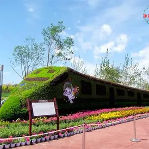 �Ͳ˻��ڵ��������� ��ͨ�����̵��� ���ξ�������������