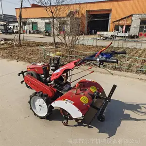 ��԰���������� ���ʹ���ר�������� �ַ���