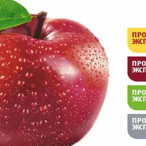 寻商机,扩市场 2027年2月俄罗斯国际食品博览会PROD EXPO 2026