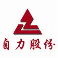 河南自力耐火材料股份有限公司
