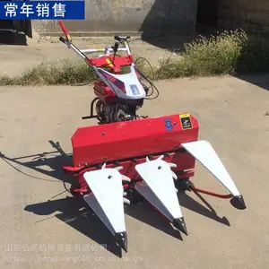 ���ʹ�������ɹ�� С����������� ũ����ո��ո������