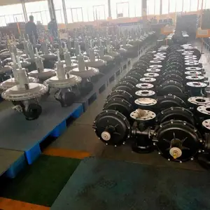 天然气减压阀调压器液化气燃气调压阀沼气管道煤气稳压减压阀工业
