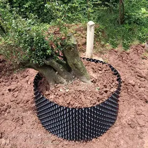 ��ľ��ֲ�ظ��� ���������ظ��� ��������ظ���