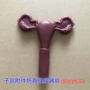 仿真人体肝胆盲肠阑尾子宫附件囊状器官器官黏连硅胶可解剖模型
