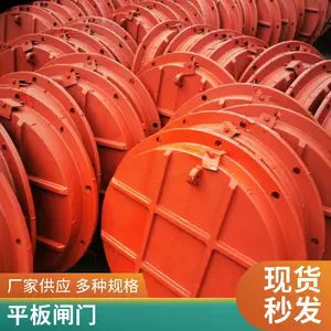 ƽ�湰������բ�� PGZ1.5m*1.5m ˫��ֹˮˮ����ͭ ��ѹˮ��ר