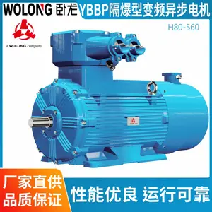 卧 龙电气南阳防爆YBBP隔爆型变频三相异步电机规格齐全支持定制