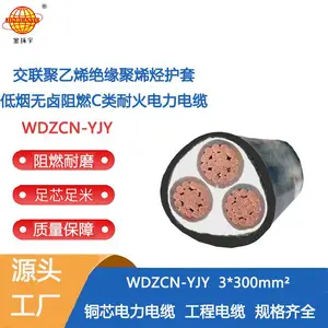 金环宇电缆 300平方电缆低烟无卤阻燃耐火电缆WDZCN-YJY 3X300