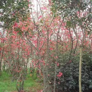 3-4�������ź��ĳ��� ���ź������� �������Ĳ���