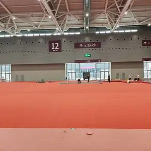 体育馆专业保护地面地毯活动用地毯开业庆典地毯