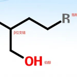 己基癸醇;2-己基-1-癸醇;2-己基癸醇;格尔伯特醇C16;异构醇C16;16醇;