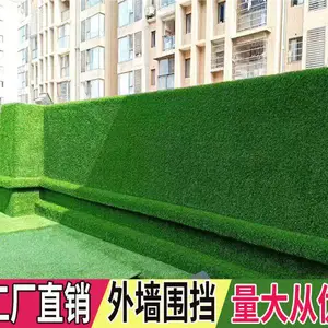 ��������ٲ�ƺ���������ֲ����Χ���ٲ�Ƥ������ɫ����ǽ��