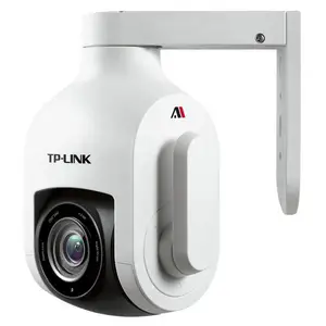 TP-LINK 400万AI星光室外变焦无线球机 TL-IPC646-DZ AI版