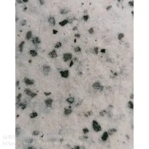 ����������ǽ��ˮ��ɰͿˢ������Ϳˮ��ˮ �����ǽ�����Ϳ��