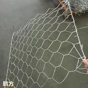 铅丝笼6*8cm孔固堤护坡 防洪抗灾固土镀锌包塑固滨笼 石笼网