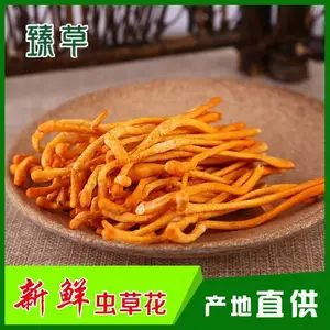 产地餐饮虫草花、虫草花批发零售、臻草虫草花人工挑选