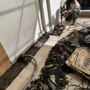 �������������©�������̶�