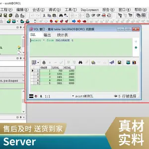 PL/SQL Developer�������� ������Ʒ���� ����*** ����������