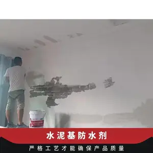 龙晨自修复防水剂墙体除碱微晶易于施工水泥基自愈合防水剂