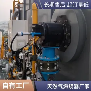 水套炉燃烧机 氢气天然气燃烧器燃烧器源头厂家 岱鼎燃烧