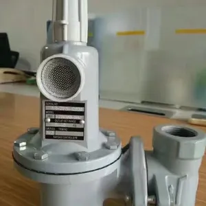 法国RAYGAS调压器627减压阀