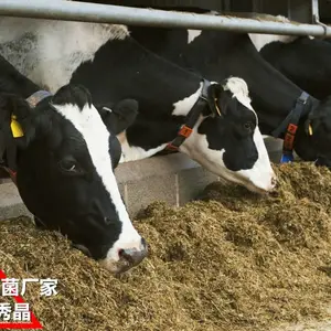 奶牛拉肚子产奶量减少奶牛饲料添加剂制造商