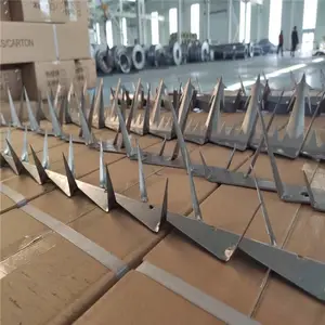 �����̶� ������ ������ ���̶� С����������С�����ŷ����̶�