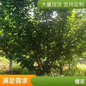 8-10-12-15-18����ӣ��������� 5-30���ֻ��س��� ԰�ֹ��;���
