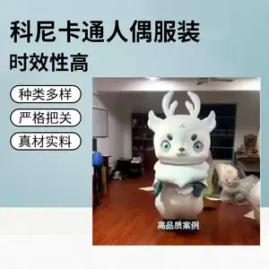 ���� IP ��ż��װ����***������ר����������