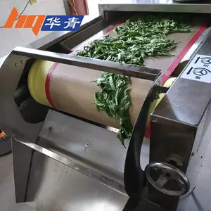湖南青钱柳微波杀青机华青品牌厂家直销隧道式微波藤茶杀青机