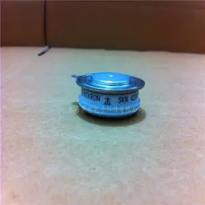 ֱ�������豸Ӧ�����ſ�SKN4000/02������ģ��SKN4000/04