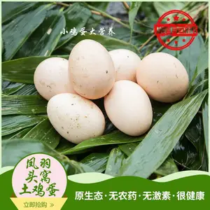 乌蒙万物生 凤羽土鸡蛋 农家散养鲜鸡蛋 优质蛋白 早餐食材