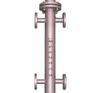 电极式水位传感器 UDG-36