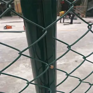 ��԰�򳡻����� ���ֳ������� ѧУ�˶���������